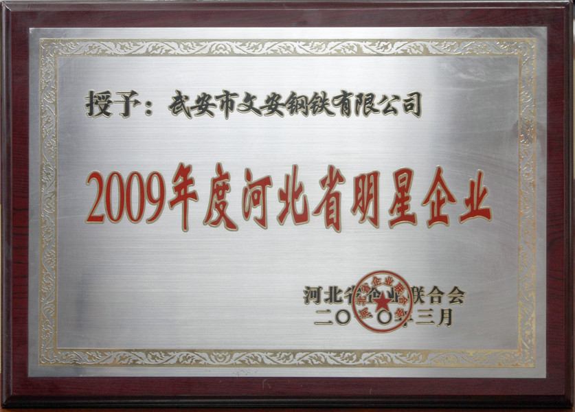 2009年度河北省明星企业